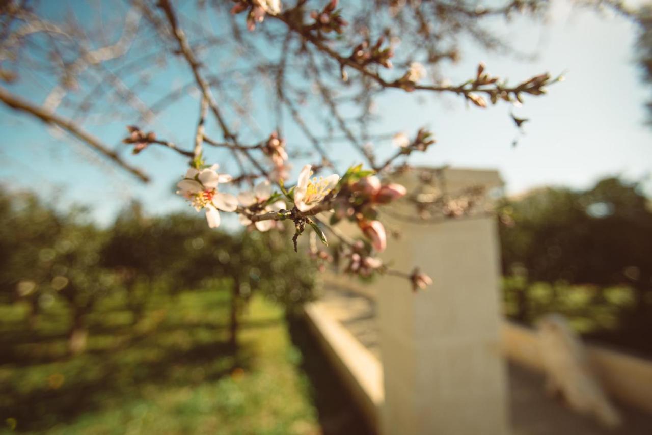 Masseria Gagliardi タラント エクステリア 写真